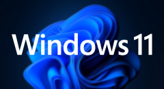 Carnal Instinct for Windows 11